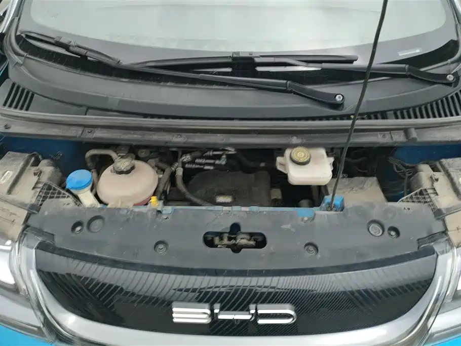 BYD Dolphin 2021 401km Knight Edition фото 10