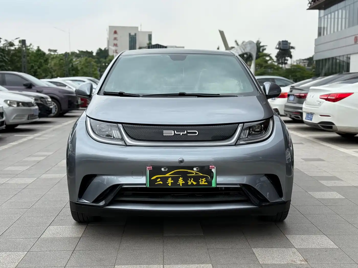 BYD Dolphin 2021 Model 405km Fashion Edition фото 2