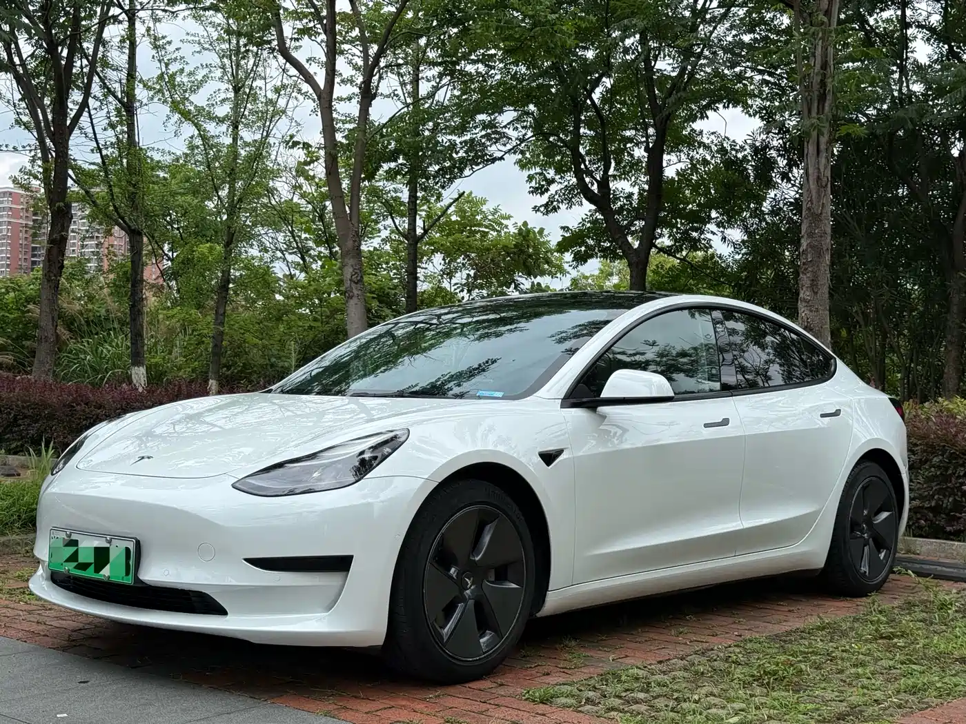 Tesla Model 3 2021 Standard Range Rear-Wheel Drive Upgrade 3D6