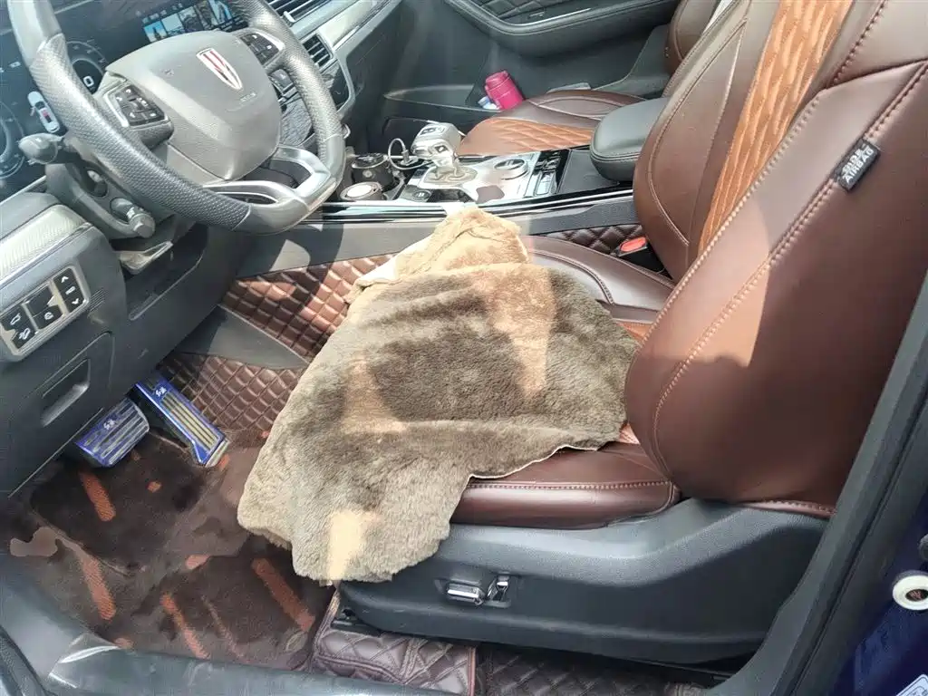 Hongqi HS5 2019 2.0T Smart Connect Enjoy 4WD Edition фото 8