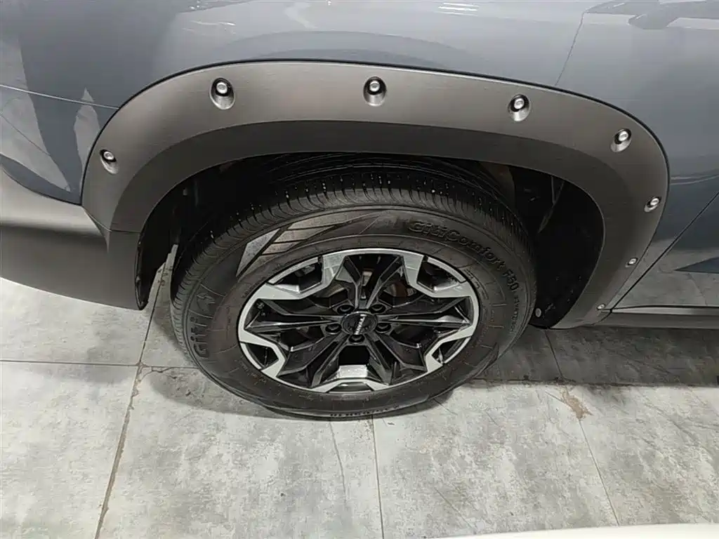 Haval Big Dog 2024 2.0T DCT Chinese Rural Dog Edition фото 23
