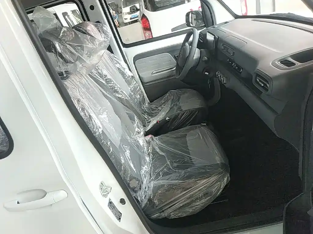 Wuling Motors Wuling Zhiguang NEV 2026 2025 Model 305km Base Version