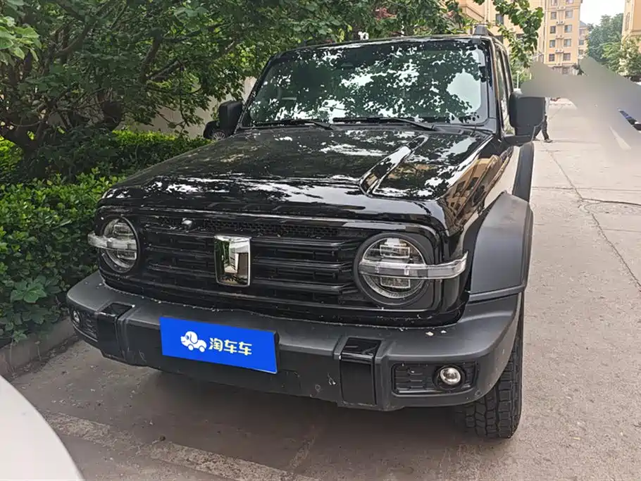 Tank 300 2023 Off-Road Edition 2.0T Conqueror фото 2