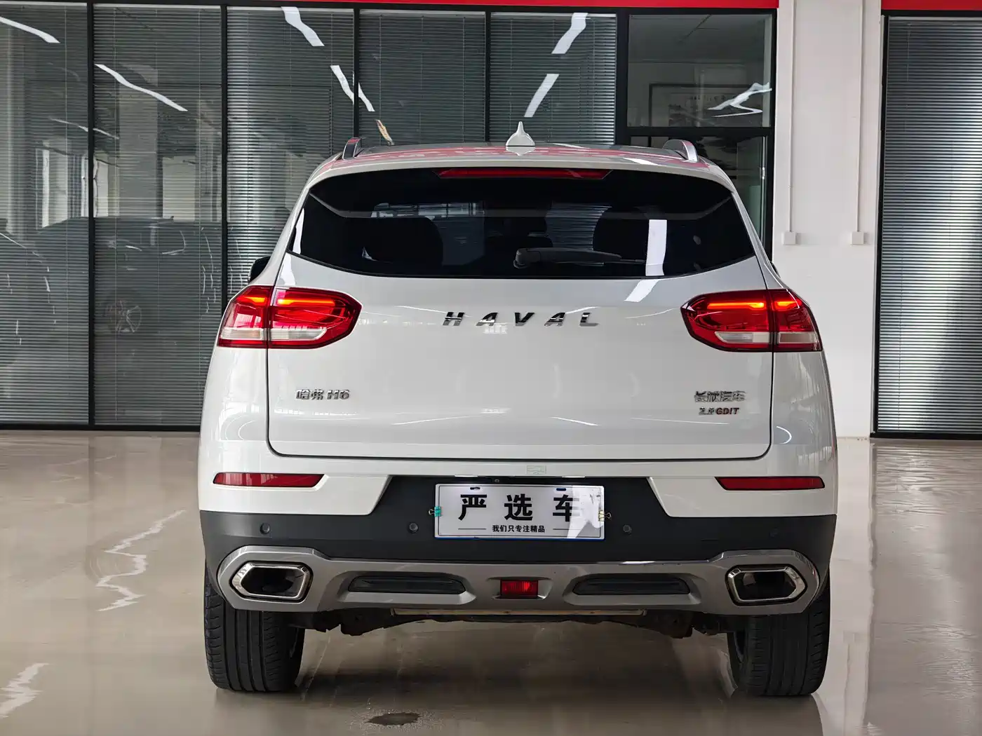 Haval H6 2017 Red Label 2.0T Auto 2WD Smart фото 8