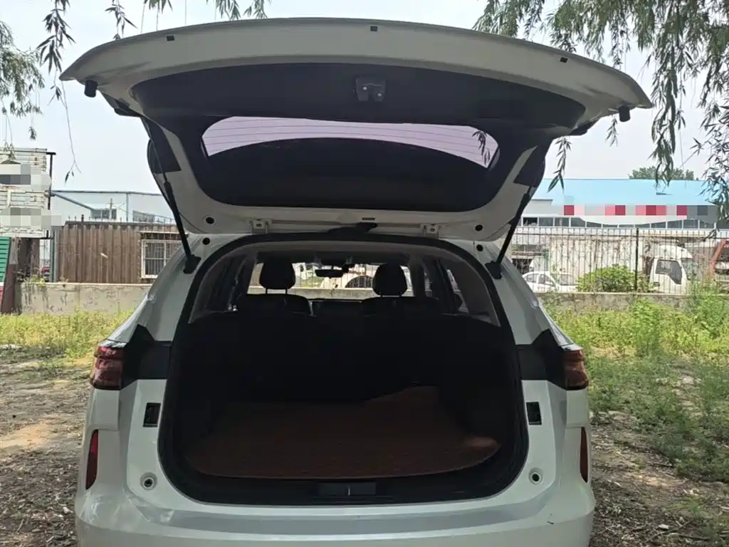 Haval H6 2021 3rd Gen 1.5T Auto 2WD Pro фото 18