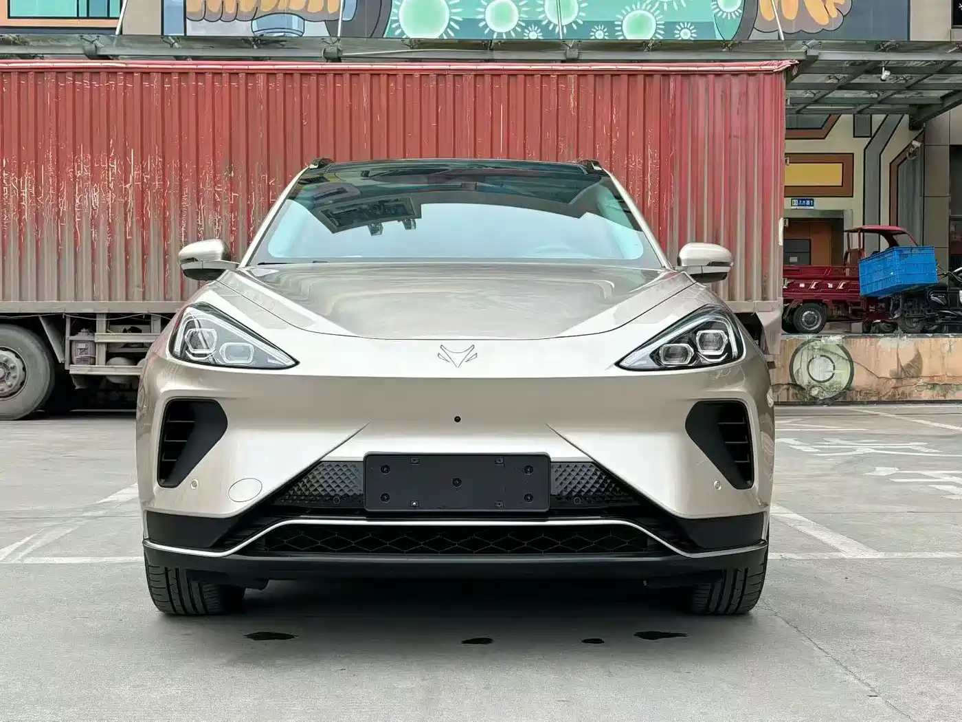 ARCFOX EXTREME FOX POLAR FOX ALPHA T6