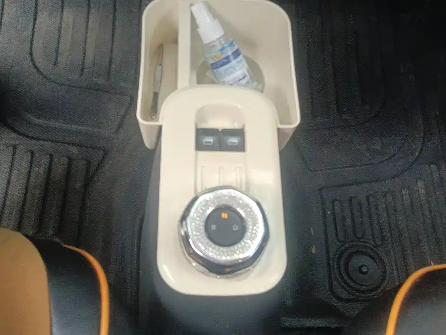Geely Galaxy Panda 2025 2025 Panda mini 210km Vitality Bear