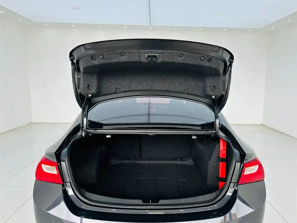 Chevrolet Malibu XL 2018 530T Auto RuiChi Edition фото 24