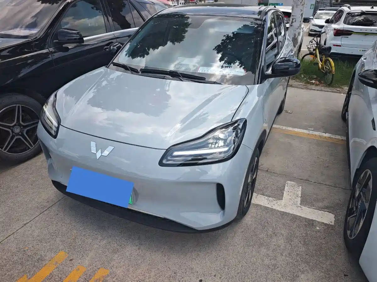 Wuling Motors Wuling Binguo PLUS 2024 510km Range 5-seater