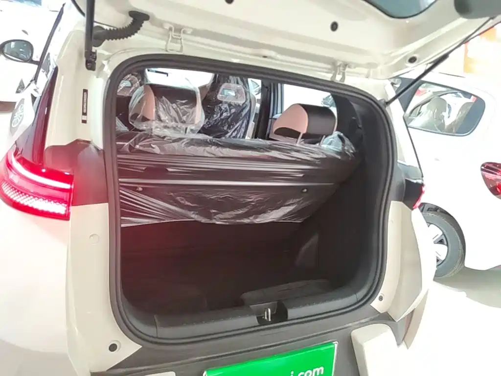 BYD Seagull 2026 2025 305km Vitality