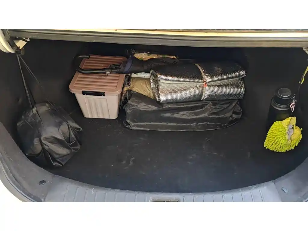 Venucia D60EV 2020 2019 Long-Range Travel Edition