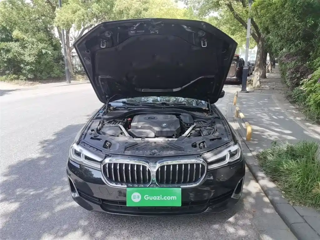 BMW 5 Series 2021 530Li Leading Luxury Package фото 20