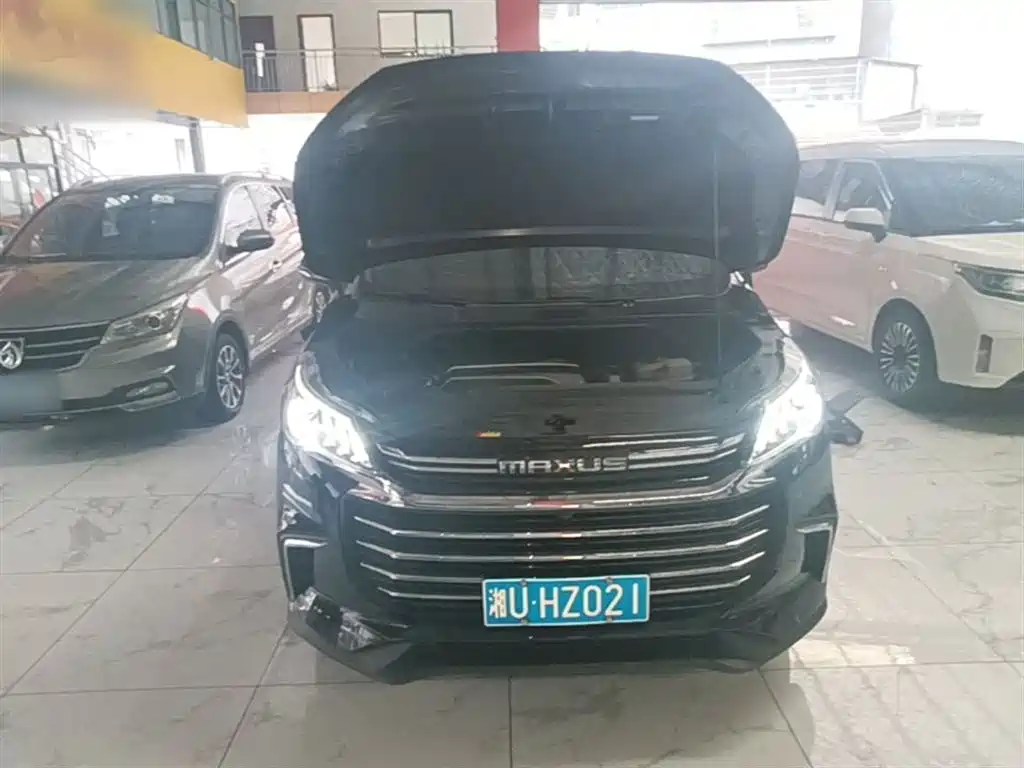 Фото 20 - Maxus Maxus G50