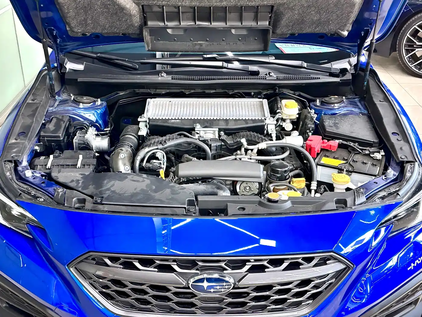 Subaru WRX 2025 2024 2.4T Manual EyeSight Edition