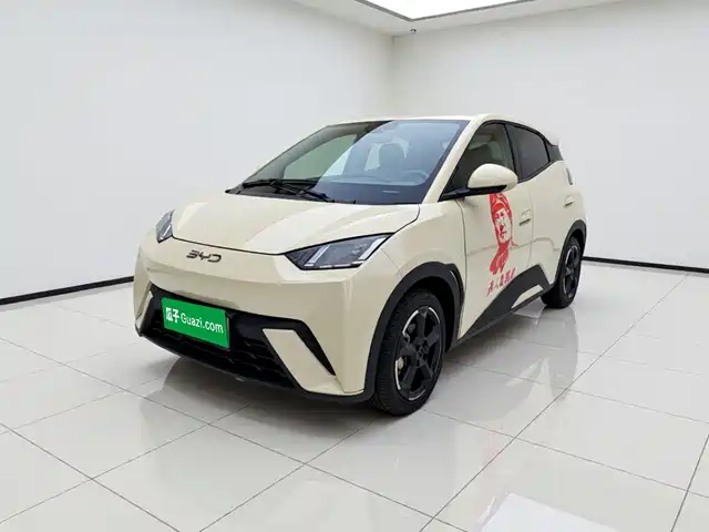BYD Seagull 2024