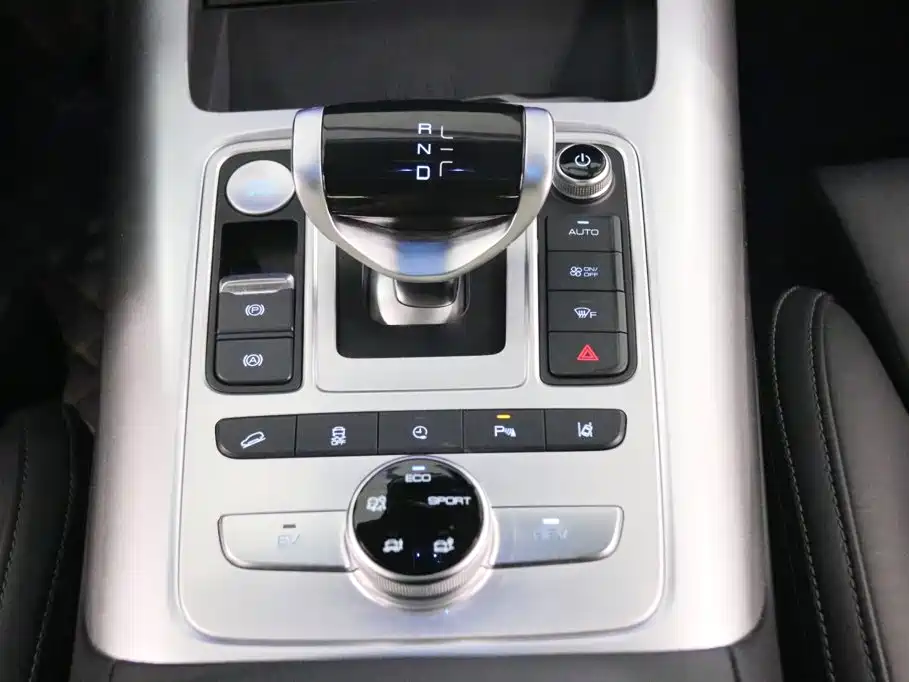 Denza X 2021 2020 Model PHEV Flagship Edition