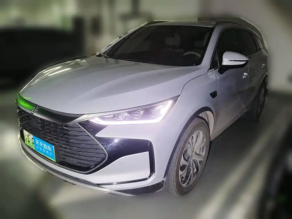 BYD Tang New Energy 2025 2025 Smart Driving Edition DM-i 115KM Flagship