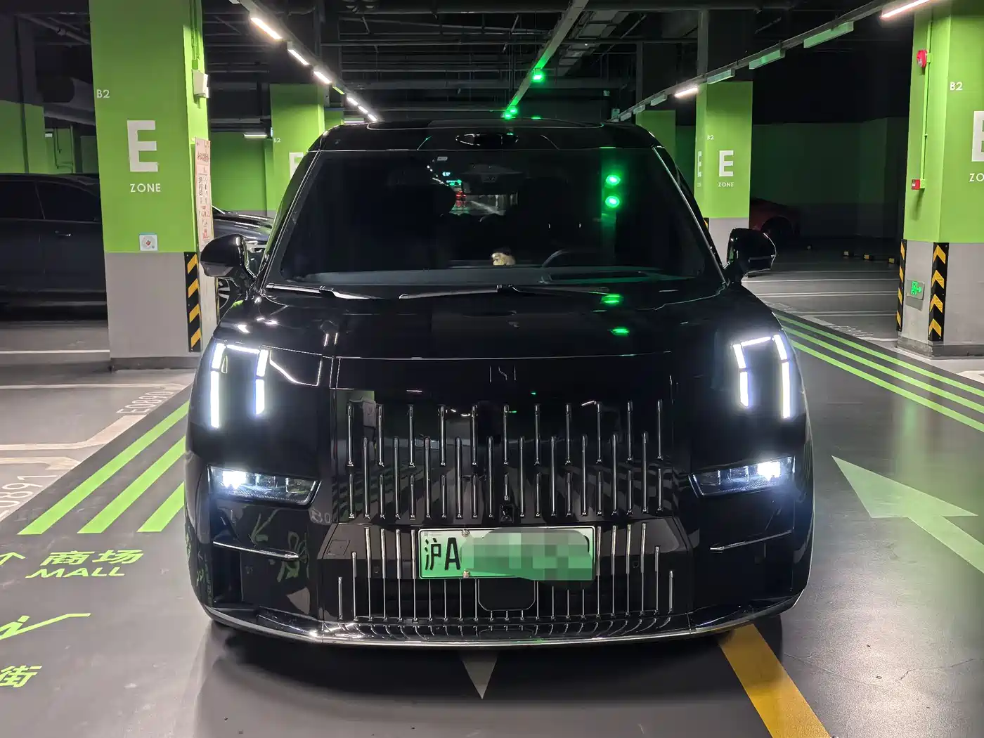 ZEEKR EXTREME KRYPTON 009