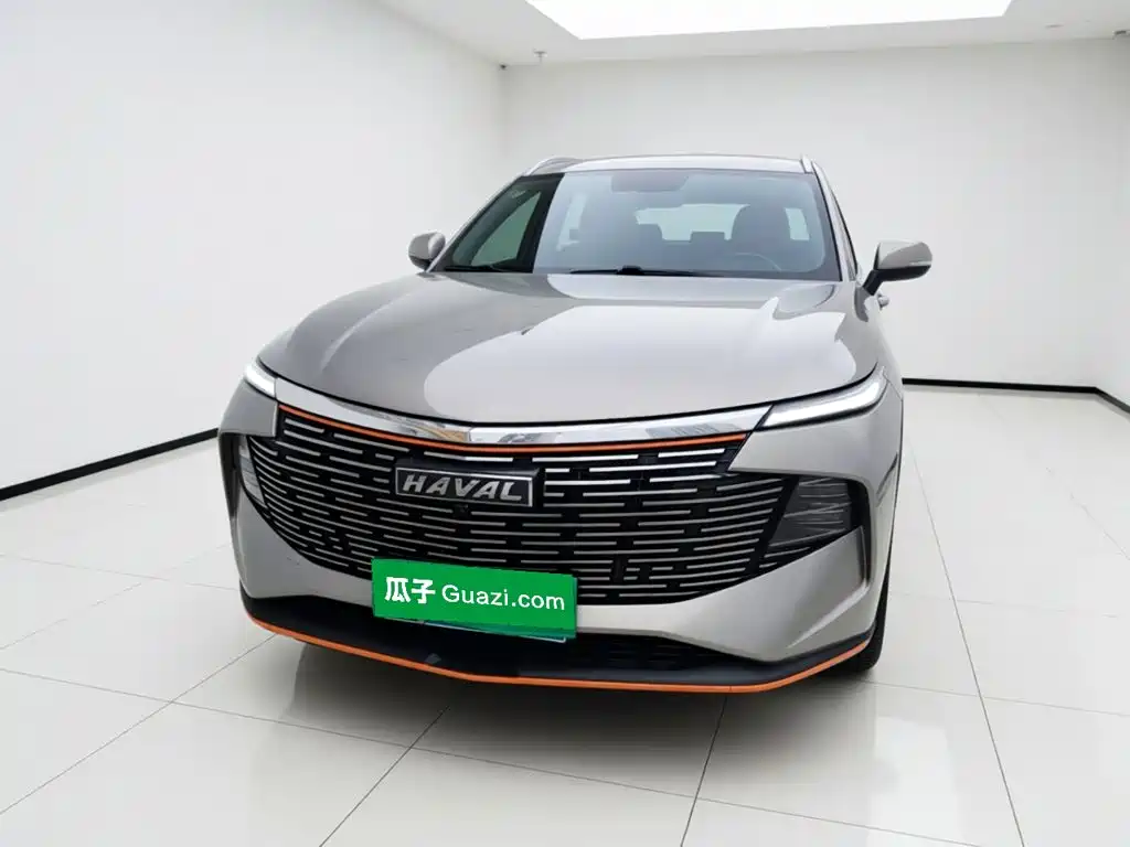 Haval Shenshou 2022 2022 1.5T Smart Leader Edition