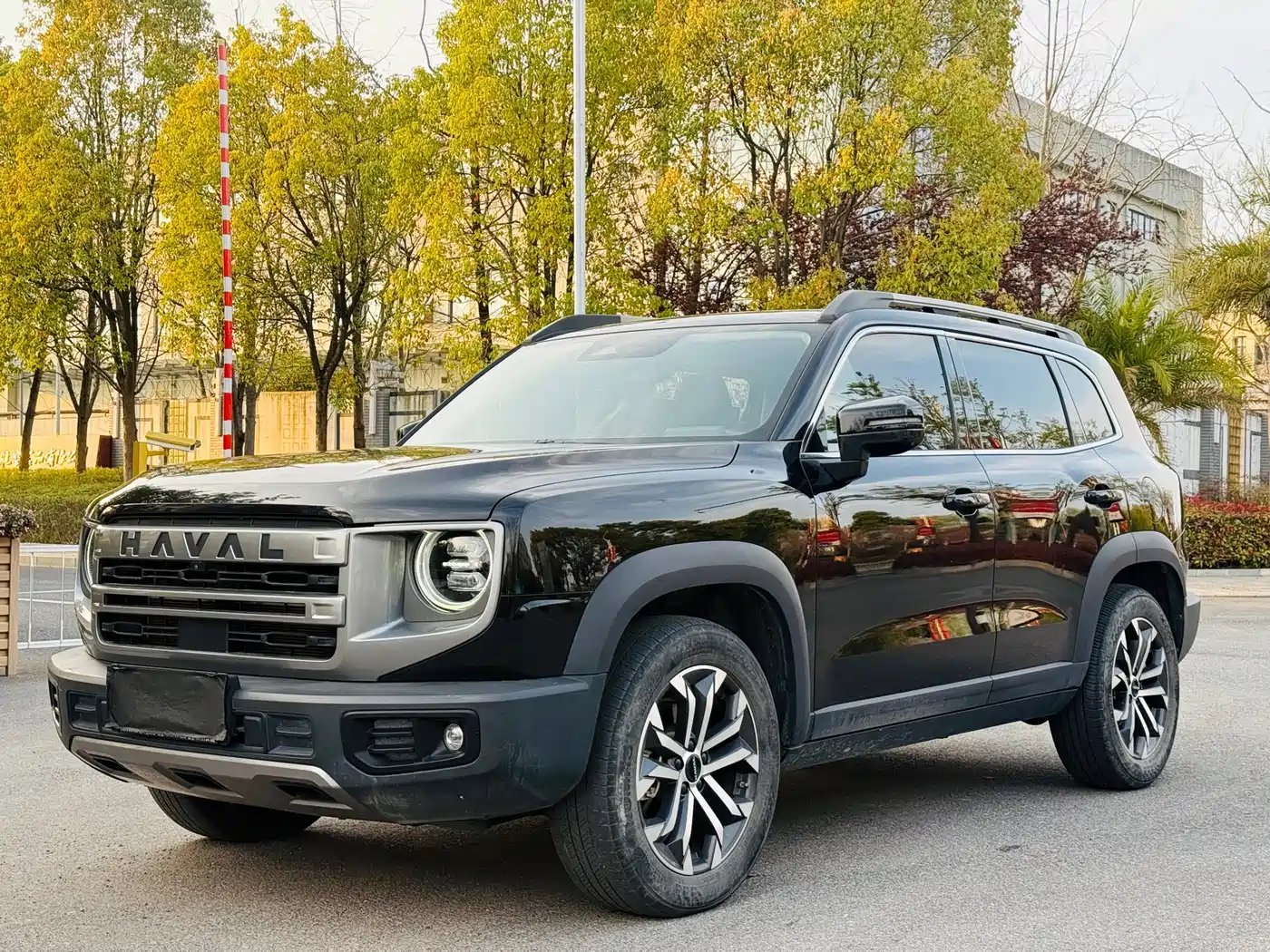 Haval Big Dog 2024 1.5T DCT Border Collie Edition