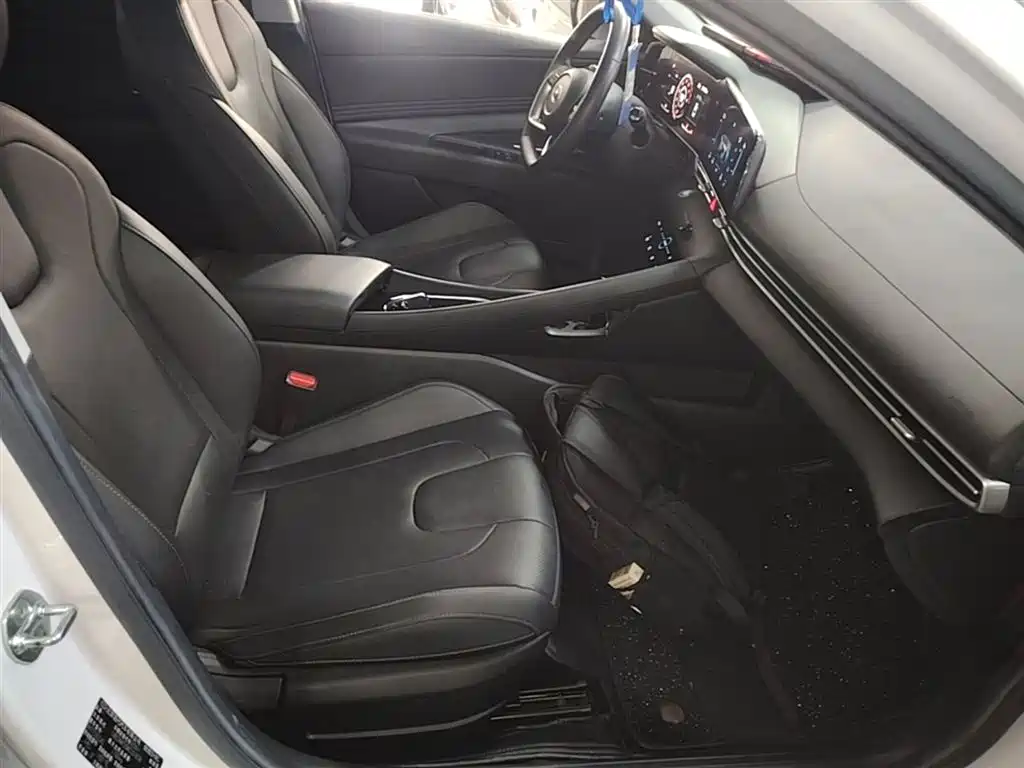 Hyundai Elantra 2021 1.5L CVT LUX Premium Edition фото 25