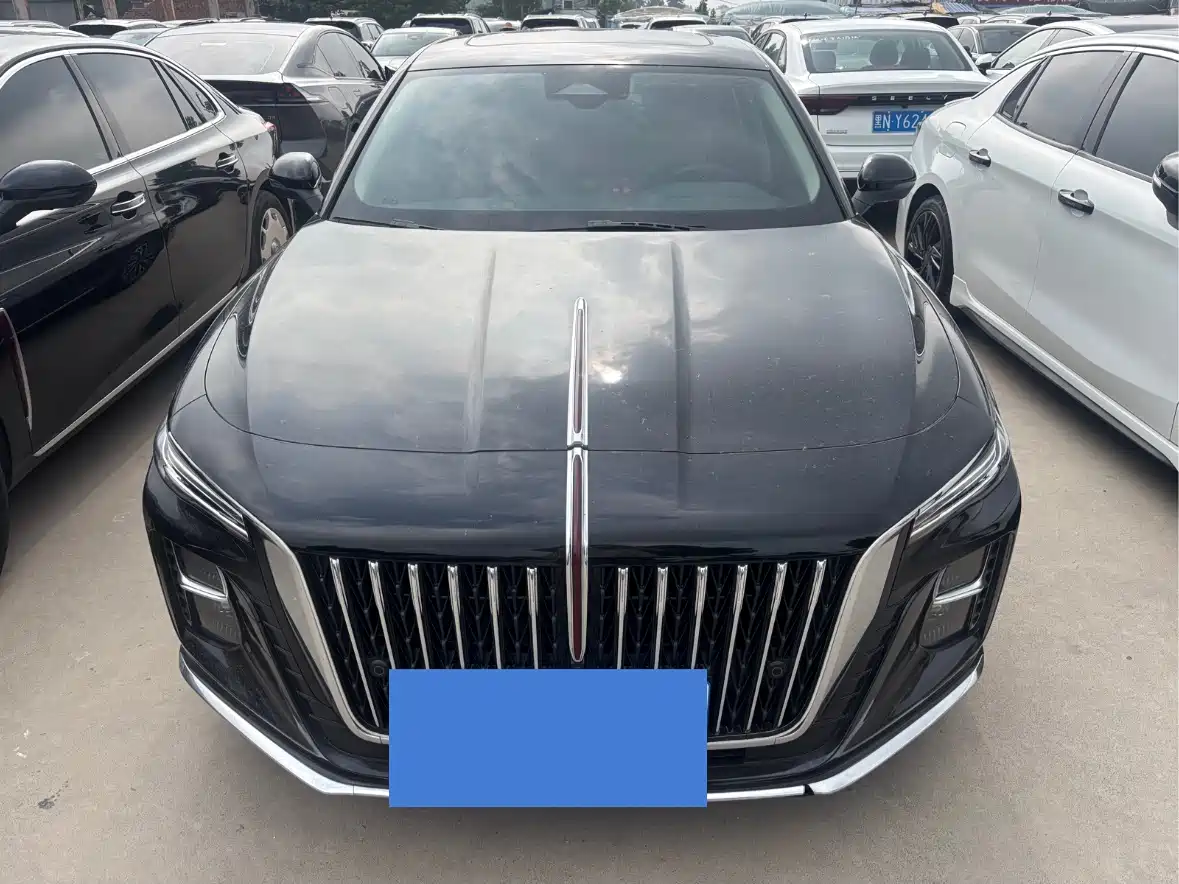 Hongqi H5 2025 2.0T Automatic Flag Celebration 500,000 Units Anniversary Edition фото 2