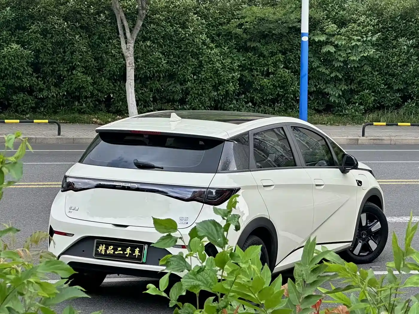 BYD Dolphin 2025 Smart Drive Edition 410km Fashion Version фото 7