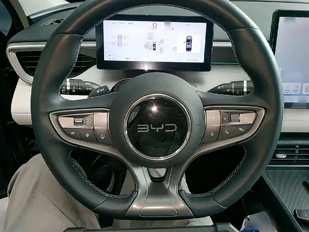 BYD Hai Bao 05 DM-i 2025 DM-i Smart Driving Edition 120KM Flagship фото 11