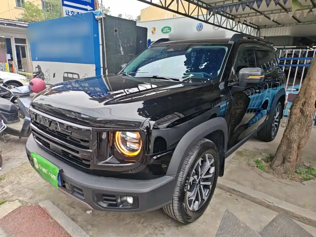 Haval Big Dog 2025 2024 1.5T DCT Border Collie Edition