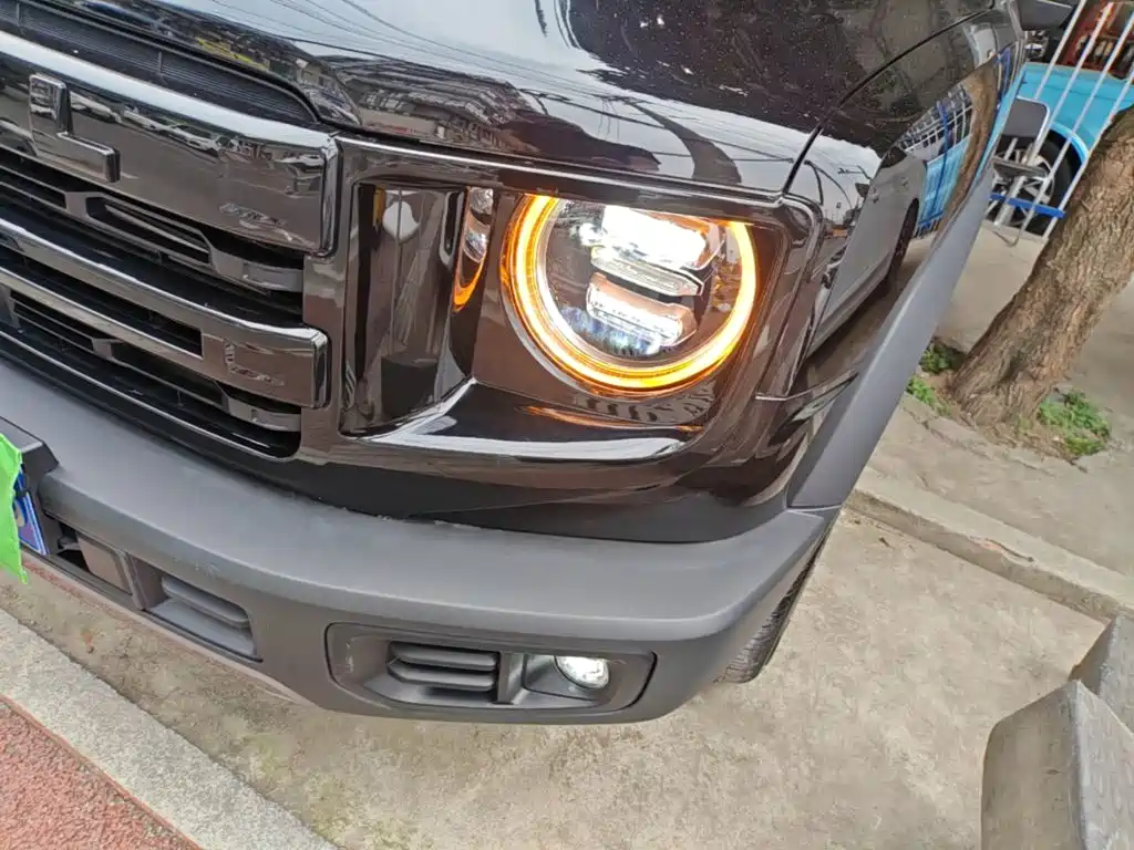 Haval Big Dog 2025 2024 1.5T DCT Border Collie Edition