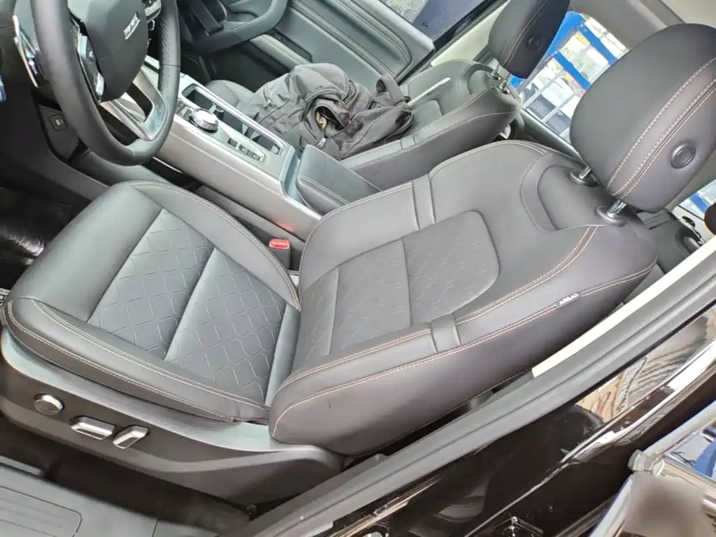 Haval Big Dog 2025 2024 1.5T DCT Border Collie Edition