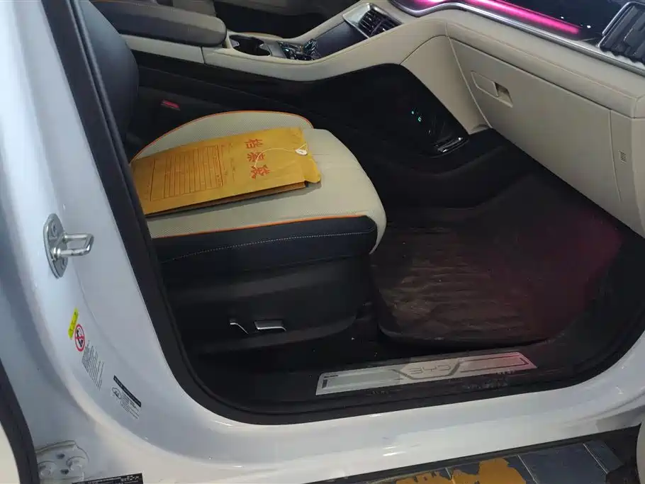 BYD SONGJIANG NEW ENERGY