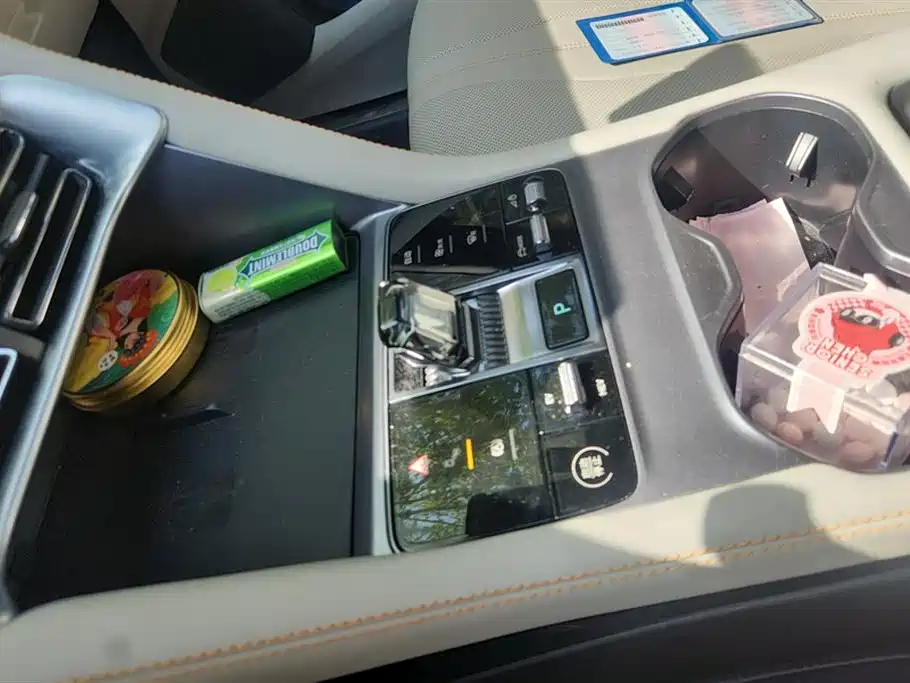 BYD SONGJIANG NEW ENERGY