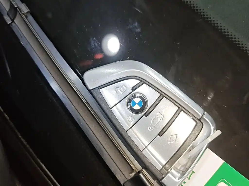 BMW 5 Series New Energy 2019 Facelift 530Le Luxury Package фото 9