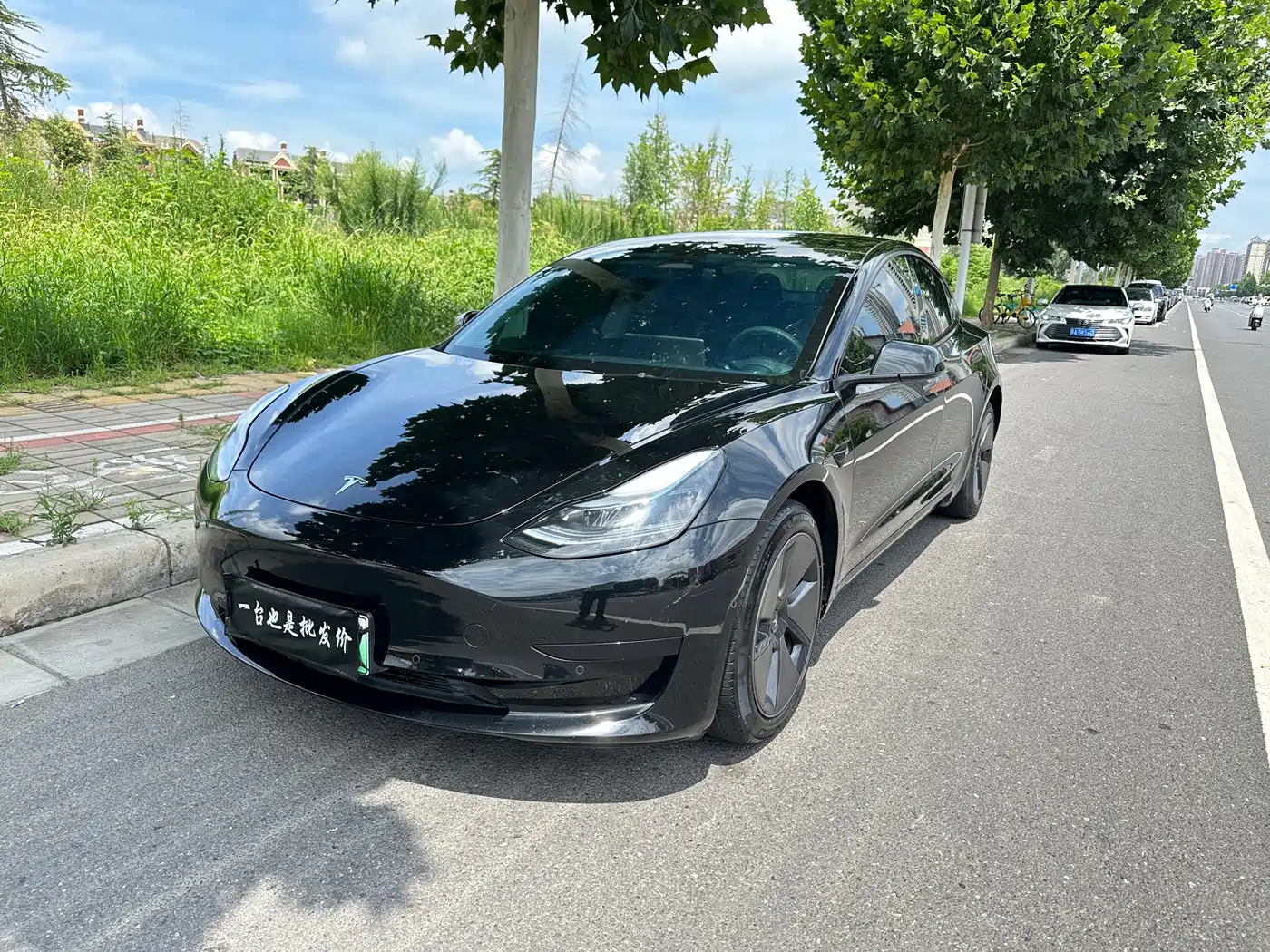 Tesla Model 3 2022
