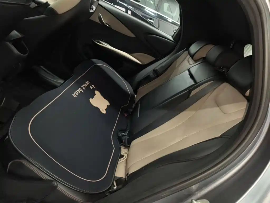 BYD Dolphin 2023 420km Fashion Edition фото 17