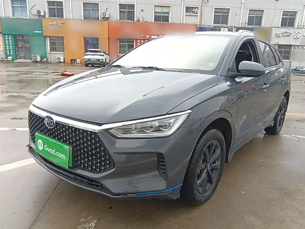 BYD e2 2021 Luxury Edition фото 2