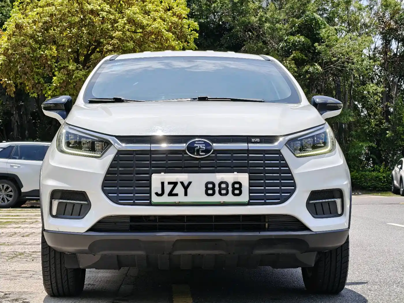 BYD Yuan New Energy 2019 EV535 Smart Connected Trend Leader Type фото 2