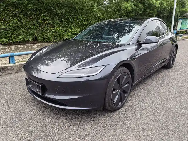  Tesla Model 3 2025 Model Long Range Rear-Wheel Drive