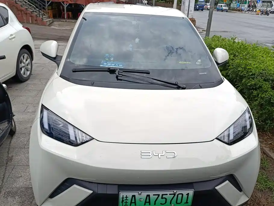 BYD Seagull 2025 305km Vitality фото 2
