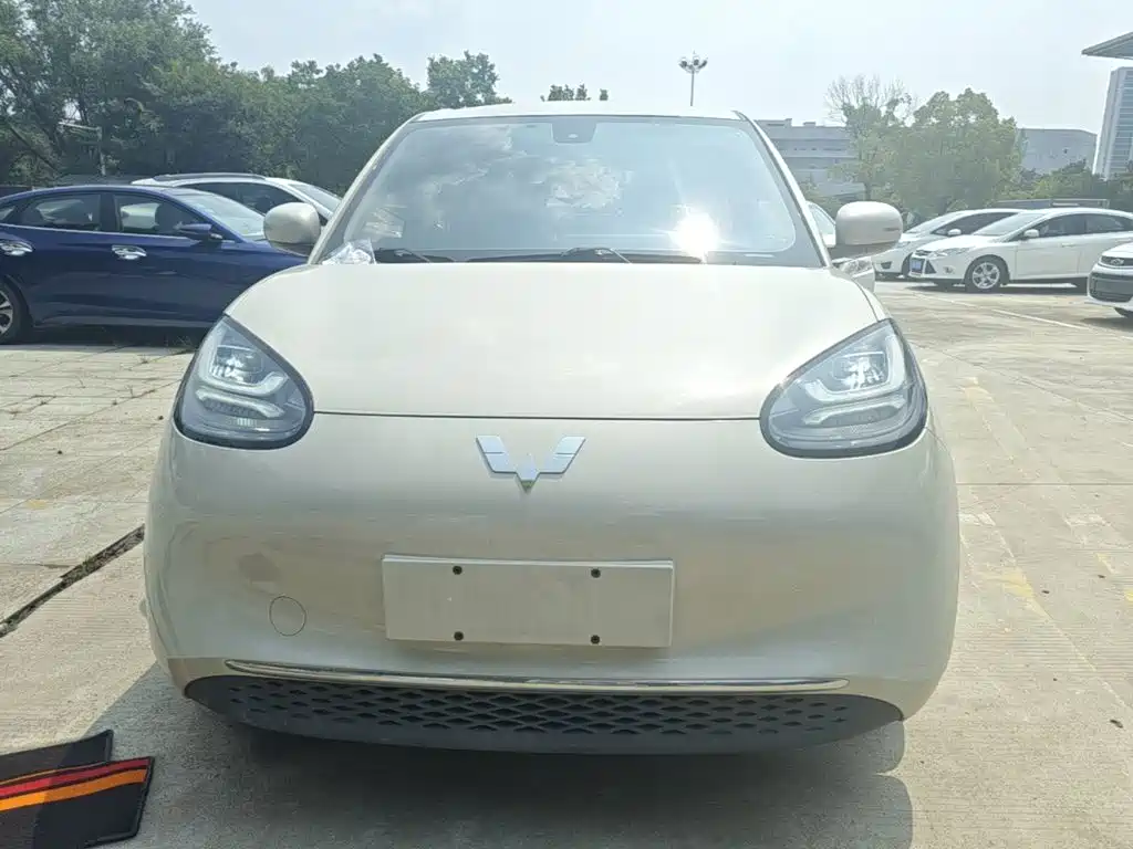 Wuling Motors Wuling Bingo 2023 2023 203km Comfort Version