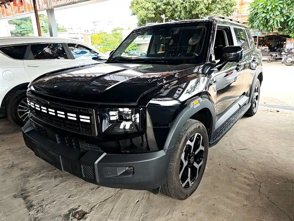 Jetour Shanhai T1 2025 Model Year 150km Discovery