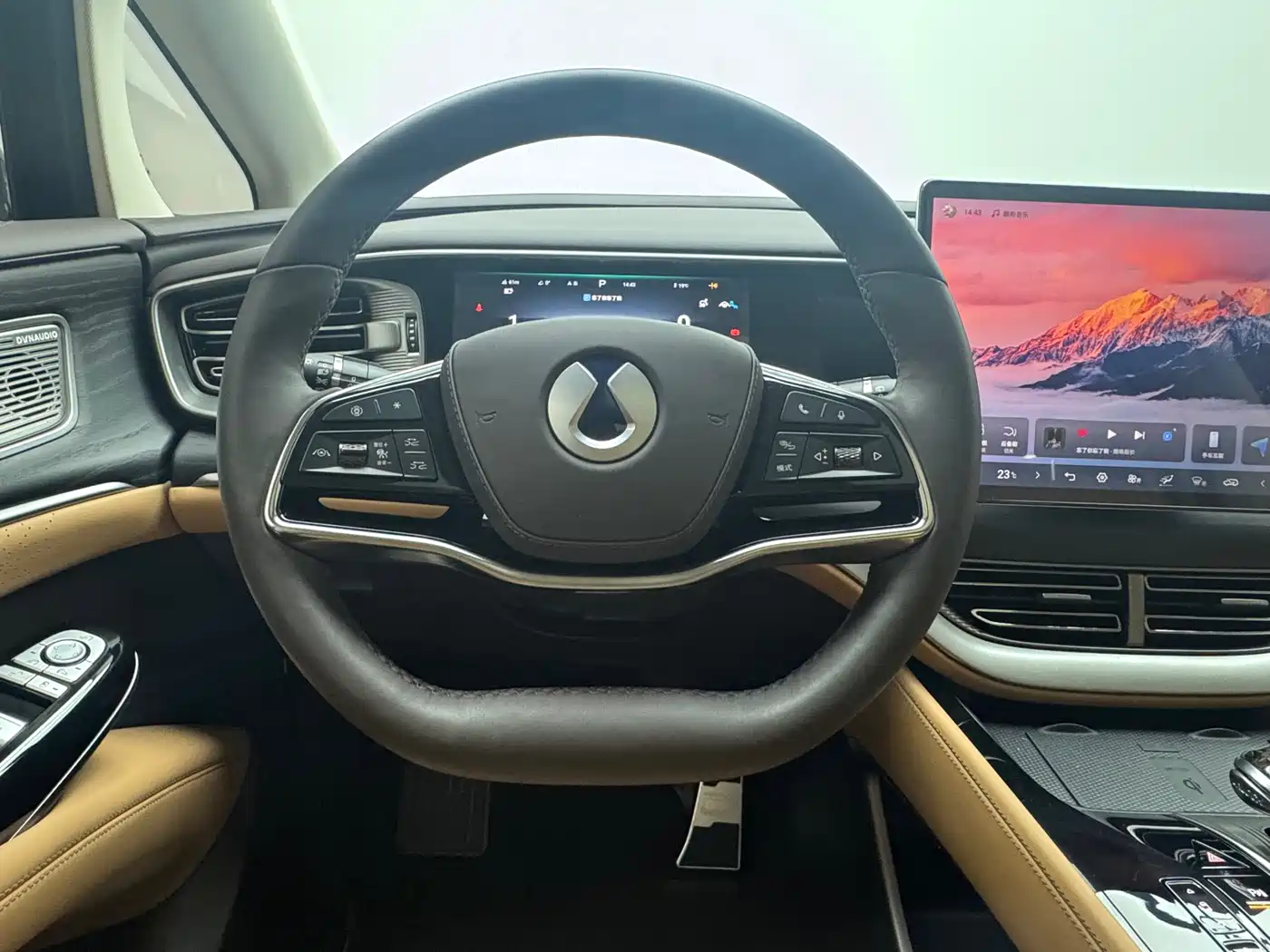 Denza D9 2024 DM-i 980 AWD Prestige фото 7