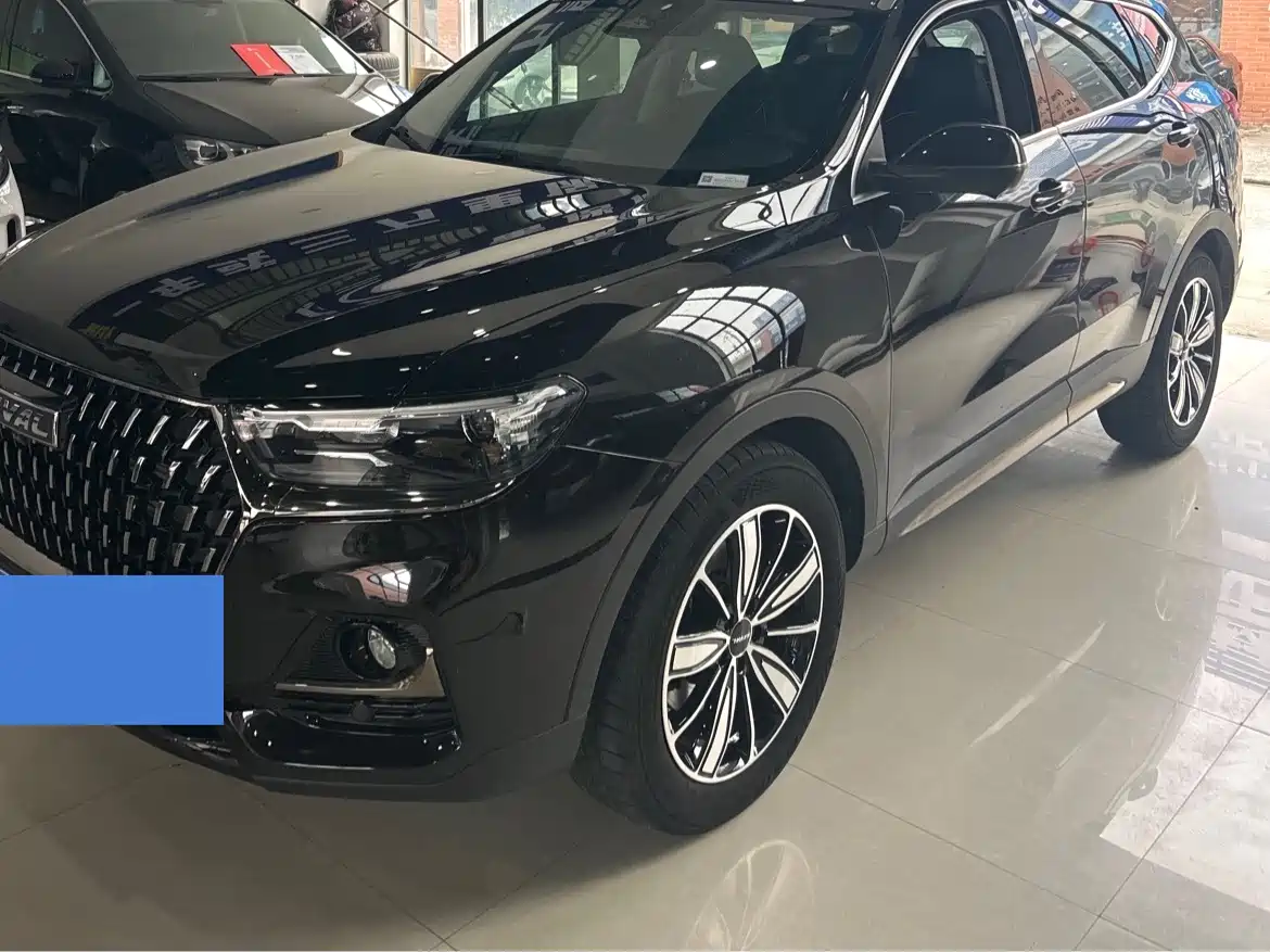 Haval H6 2023 National Trend Edition 1.5T Automatic Champion фото 3