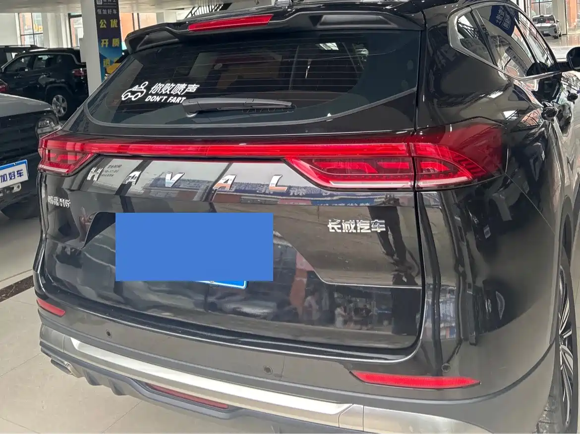 Haval H6 2023 National Trend Edition 1.5T Automatic Champion фото 14