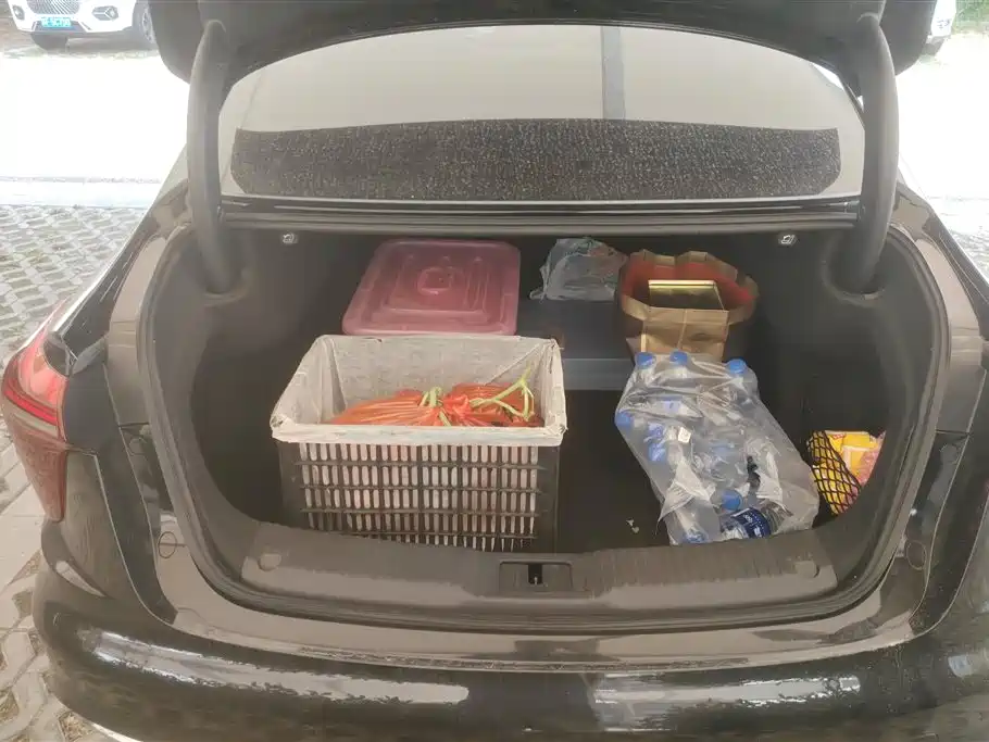 Hongqi H5 2024 2.0T Automatic Smart Connect Flag Smooth Edition фото 4