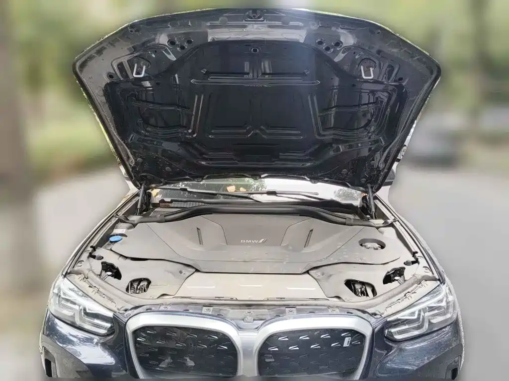 BMW iX3 2024 2023 Leading Type