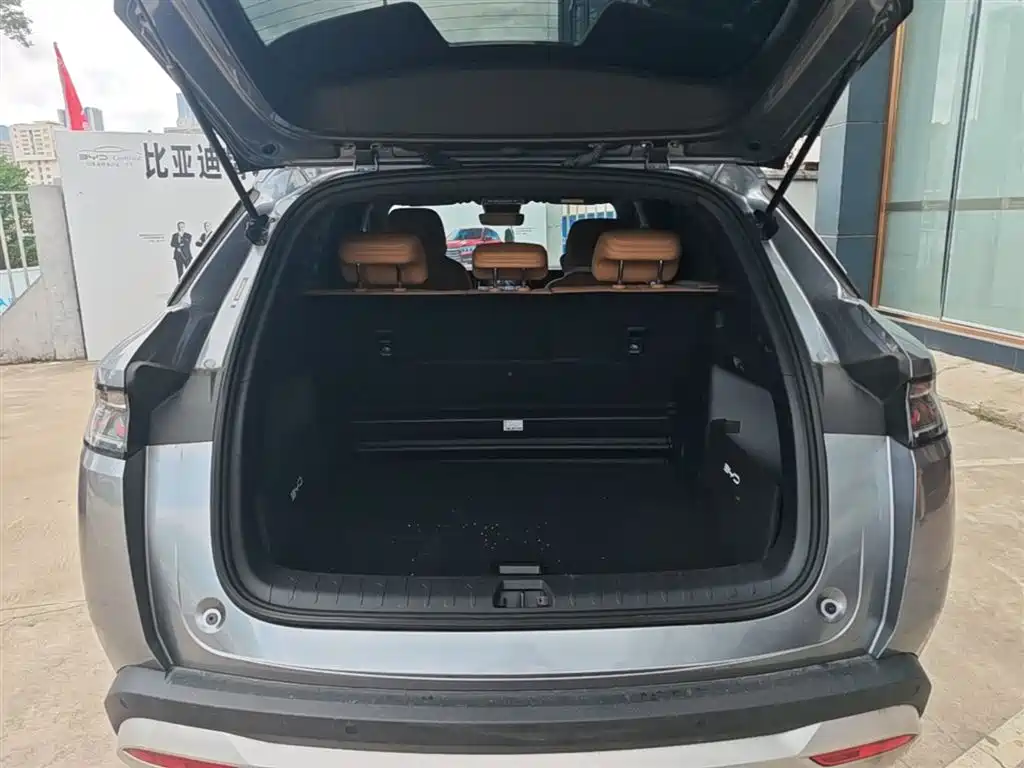 BYD Song L DM-i 2024 112km Leading Edition фото 19