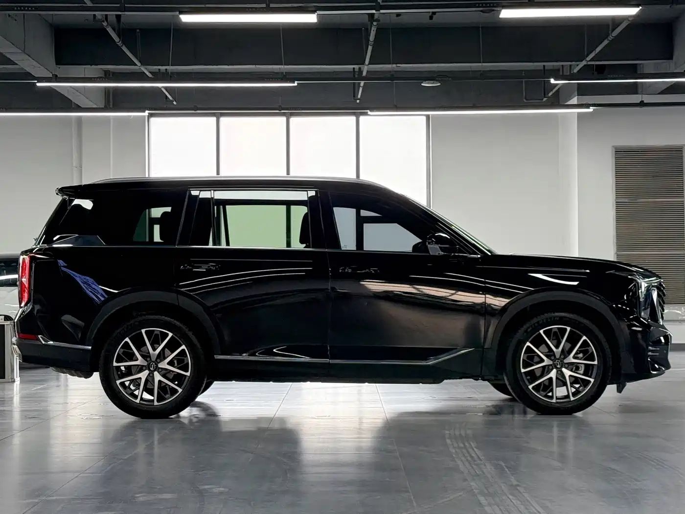 GAC Trumpchi Trumpchi GS8 2025 Pilot Series 2.0TGDI 2WD Luxury Edition 5-seater фото 4