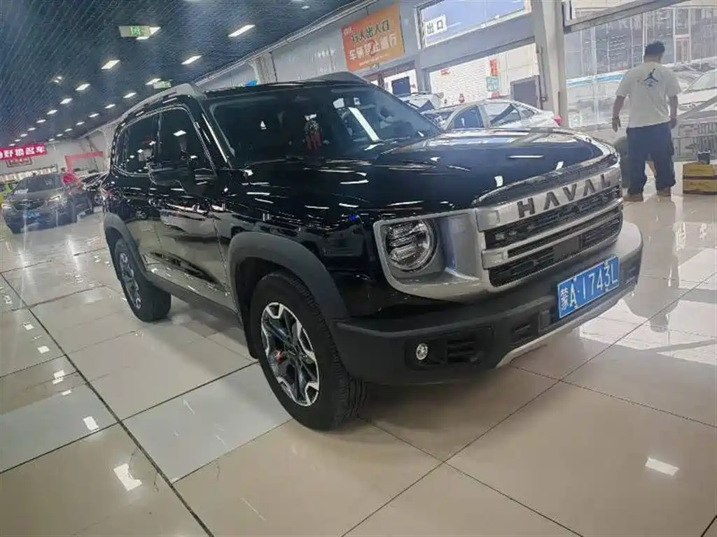 Haval Big Dog 2024 2.0T DCT Chinese Rural Dog Edition фото 2